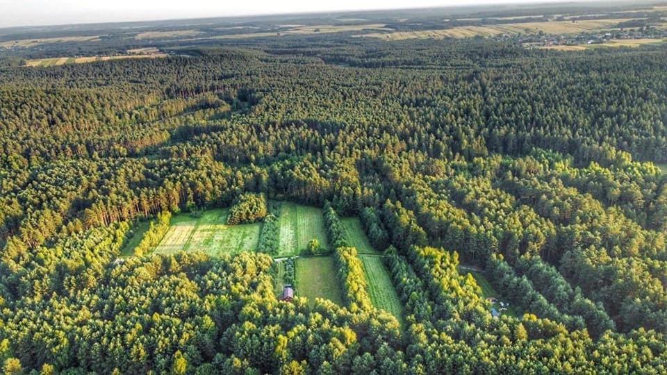 Wittowka - Domek Na Wylacznosc Z Dala Od Sasiadow Tomaszów Lubelski Eksteriør bilde